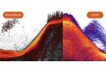 Deeper DownScan (Quest) 
