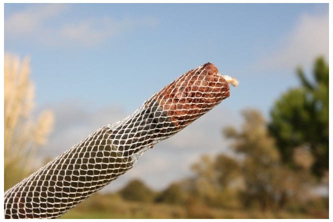 Longchuck Funnel Web PVA System 7mt