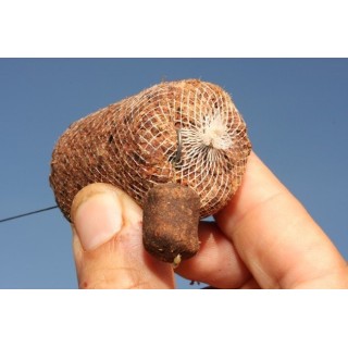 Korda Original Funnel Web PVA System 2