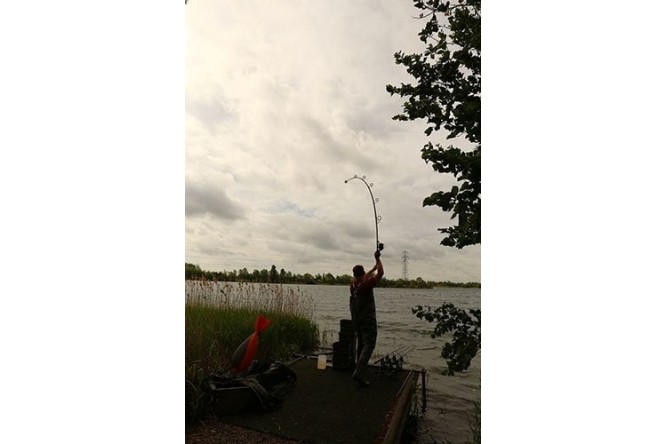 Canne Fox Horizon X5 Carp Rods Abbreviated - Duplon - Spod/Marker