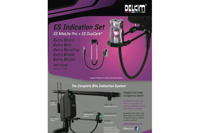 Delkim ES Indication Set