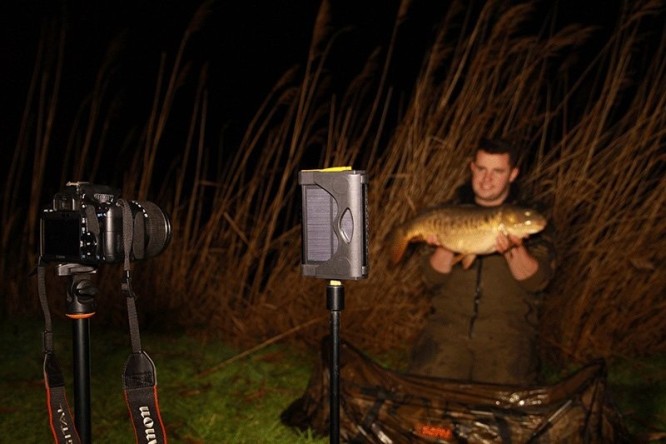 Fox Halo Power Multi Light