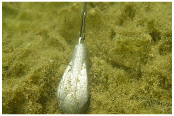 Korda Marker Lead Probe Blistered Of 2