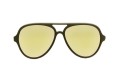 Trakker Aviator Sunglasses