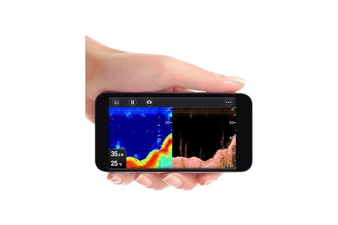 Raymarine Dragonfly 5 PRO CTP DVS