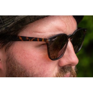 Shoreditch - Matt Toroise Shell/Brown Lens