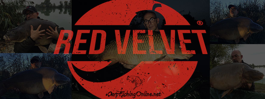 Red Velvet the Boilies of Carpfishingonline.net