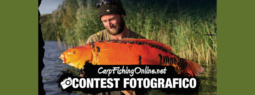 Contest Fotografico Carpfishingonline