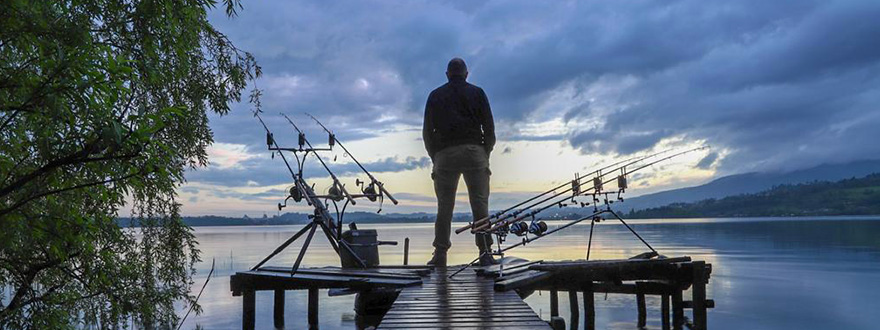 Velvet Bait in Pusiano